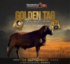 LOT 34 1 X MEATMASTER RECORDED GRADED RAM KAMEELFONTEIN MEATMASTERS