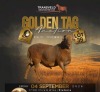 LOT 39 1 X MEATMASTER RECORDED GRADED RAM PIENAARSPAN MEATMASTERS