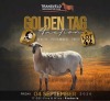 LOT 42 1 X MEATMASTER RECORDED GRADED PREGNANT EWE JACO VD MERWE BOERDERY