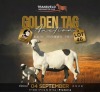 LOT 46 1+1 X MEATMASTER RECORDED GRADED EWE KROON MEATMASTERS