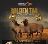 LOT 23A 1+1 X MEATMASTER GRADED EWE PIENAARSPAN MEATMASTERS