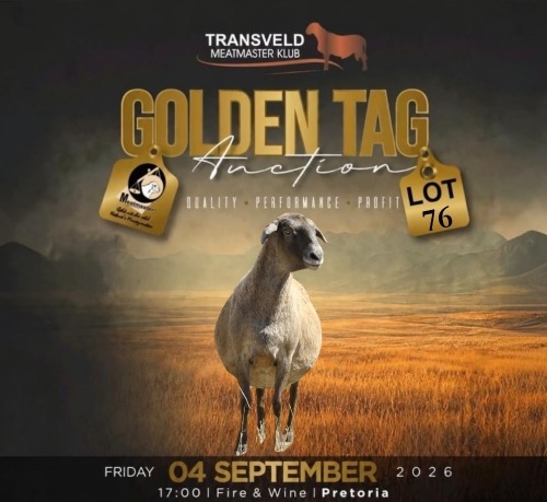 LOT 76A WITHDRAWN - 1 X MEATMASTER NOT RECORDED EWE VOORWAARTS BOERDERY