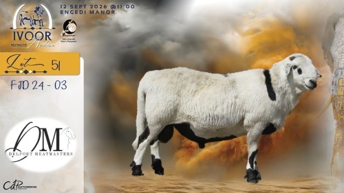 1 X MEATMASTER RECORDED RAM COIS & PIET DELPORT - Delport Meatmasters - Wesselsbron , Vrystaat