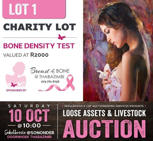 CHARITY LOT