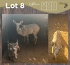 3 X KOEDOE - KUDU M:1 V/F:2 MULATI (Betaal per dier/Pay per animal)