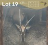 1 X SWARTWITPENS - SABLE V/F:1 MULATI