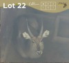 1 X WATERBOK - WATERBUCK M:1 MULATI