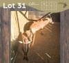 2 X SWARTWITPENS - SABLE V/F:2 MULATI (Betaal per dier/Pay per animal)