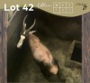 1 X BLESBOK - BLESBUCK M:1 MULATI - 2