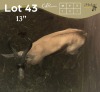 1 X KOPERSPRINGBOK - COPPER SPRING BUCK M:1 MULATI