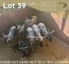 6 X BLOUWILDEBEES - BLUE WILDEBEEST V/F:6 MULATI (Betaal per dier/Pay per animal)