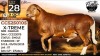 1 X MEATMASTER RECORDED RAM Collen Boerdery