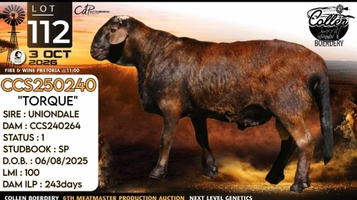 1 X MEATMASTER RECORDED RAM Collen Boerdery