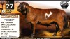 1 X MEATMASTER RECORDED RAM Collen Boerdery - 2
