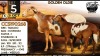 1+1 X MEATMASTER RECORDED EWE Collen Boerdery