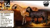 1+1 X MEATMASTER RECORDED EWE Collen Boerdery