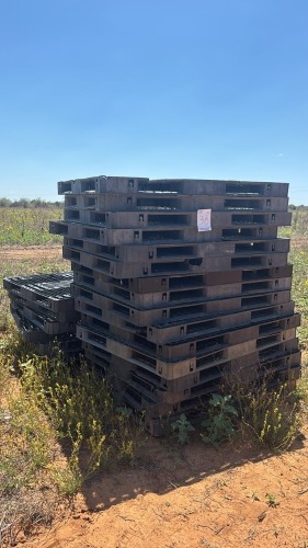 1 X PLASTIEK PALETTE Banie Erasmus