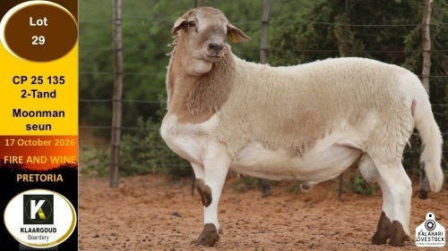 1 X MEATMASTER RAM Klaargoud Boerdery