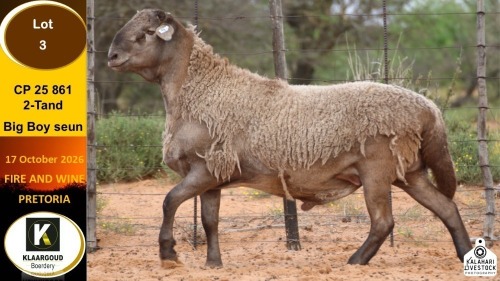 1 X MEATMASTER RAM Klaargoud Boerdery