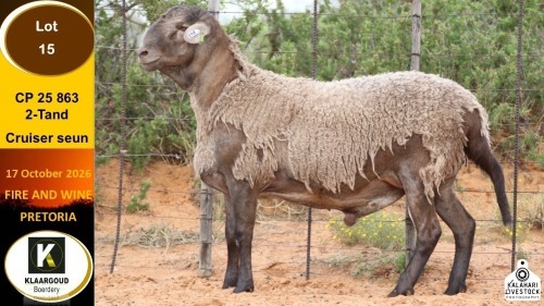 1 X MEATMASTER RAM Klaargoud Boerdery