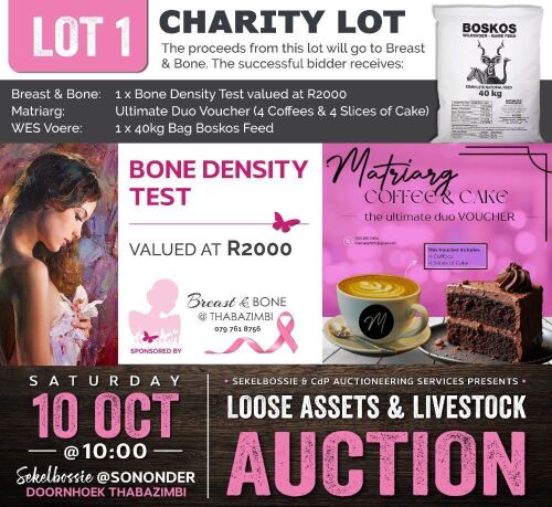 1 X CHARITY LOT