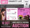 1 X CHARITY LOT