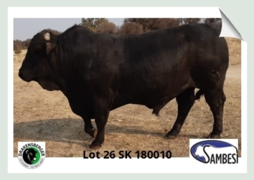 1x BUL SK 180010 SAMBESI