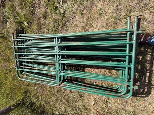 15 X Staalplaas gates - hekkies 2.0 m &times; 0.9 m CDP AUCTIONEERS (Pay per item to take the lot)