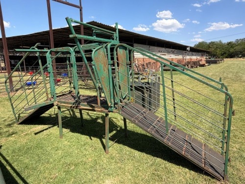 1 X Working station for small stock: crate with neck clamp and 2 ramps F2 BOERDERY