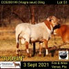 1 X RAM MEATMASTER COLLEN BOERDERY - 3