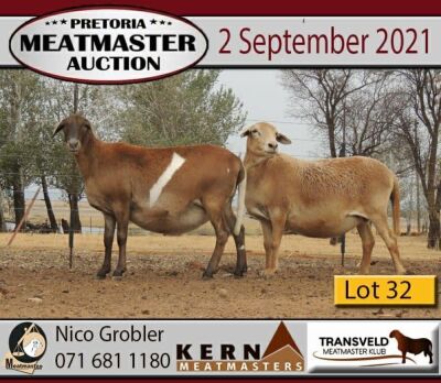 1 +2 X OOI/EWE MEATMASTER KERN MEATMASTERS