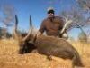 LOT 7&nbsp; &nbsp; 4&nbsp; ANIMAL HUNT PACKAGE - 9