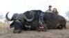 LOT 8&nbsp; 7 DAY BUFFALO HUNT - 5