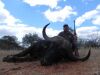 LOT 8  7 DAY BUFFALO HUNT - 8