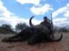 LOT 8&nbsp; 7 DAY BUFFALO HUNT - 8