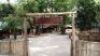 LOT 12 10 DAY TINY TEN PACKAGE - 5