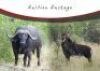 LOT 9&nbsp; &nbsp; 8 DAY BUFFALO AND SABLE SAFARI FOR 2 HUNTERS - 3