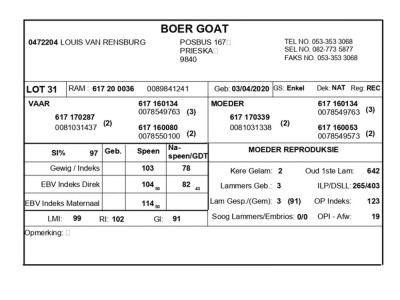 1 X BOERBOK RAM LOUIS VAN RENSBERG