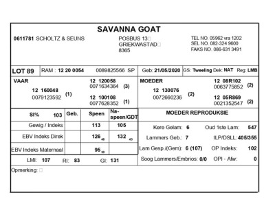 1 X SAVANNA BOK RAM SCHOLTZ & SEUNS