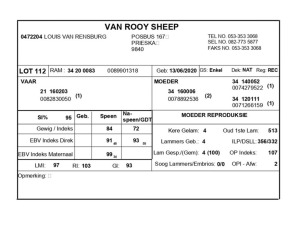 1 X VAN ROOY SKAAP RAM LOUIS VAN RENSBERG