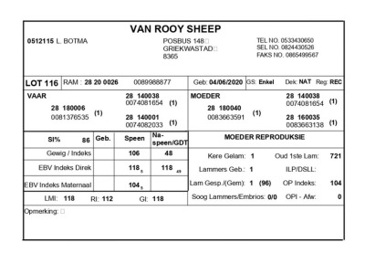 1 X VAN ROOY SKAAP RAM L. BOTMA