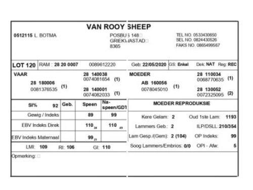 1 X VAN ROOY SKAAP RAM L. BOTMA
