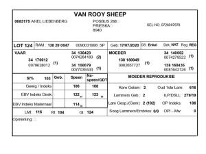 1 X VAN ROOY SKAAP RAM ANEL LIEDENBERG