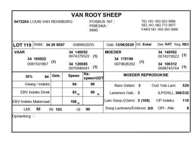 1 X VAN ROOY SKAAP RAM LOUIS VAN RENSBERG