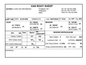 1 X VAN ROOY SKAAP RAM LOUIS VAN RENSBERG