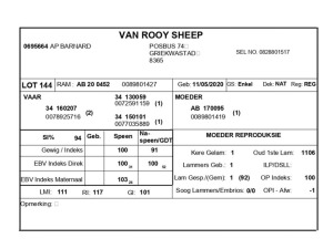 1 X VAN ROOY SKAAP RAM AP BARNARD