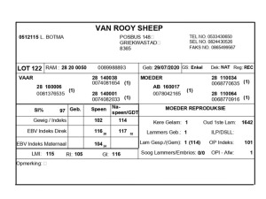 1 X VAN ROOY SKAAP RAM L. BOTMA