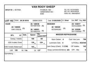 1 X VAN ROOY SKAAP RAM L. BOTMA