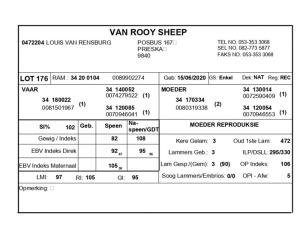 1 X VAN ROOY SKAAP RAM LOUIS VAN RENSBERG