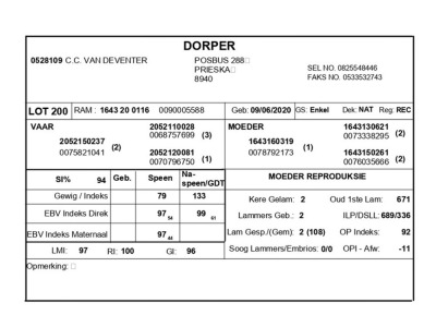 1 X DORPER RAM C.C. VAN DEVENTER